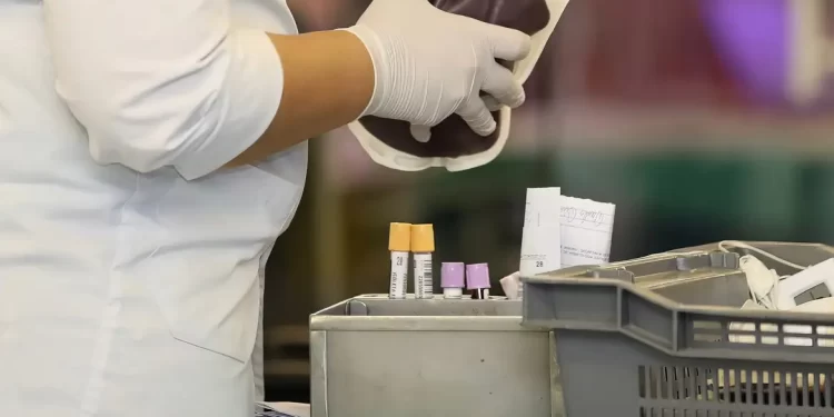 STF reconhece direito de testemunhas de Jeová recusar transfusão