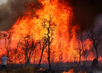Incêndio de grandes proporções atinge Parque Nacional de Brasília