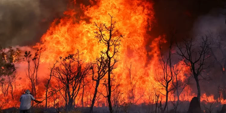 Incêndio de grandes proporções atinge Parque Nacional de Brasília