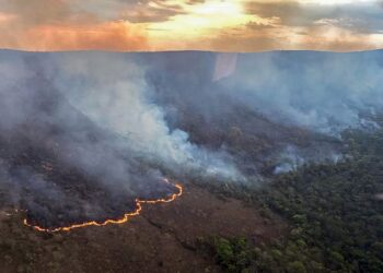 Incêndio queima 10 mil hectares do Parque da Chapada dos Veadeiros