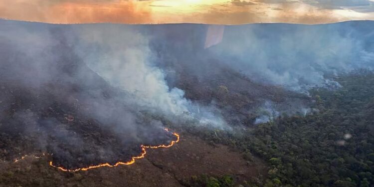Incêndio queima 10 mil hectares do Parque da Chapada dos Veadeiros
