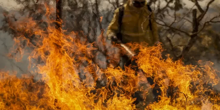 Entenda as linhas de investigação dos incêndios florestais no país