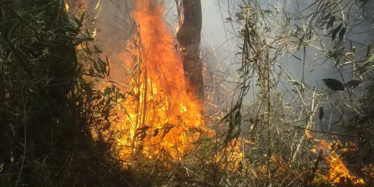 Rio: Justiça transforma em preventiva prisão de acusado de incêndio