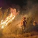 Rio de Janeiro tem o maior número de queimadas desde 2017