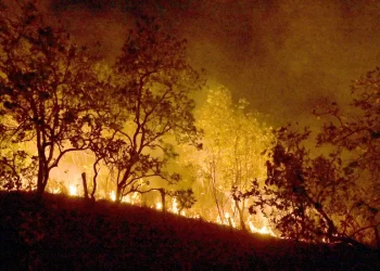 Bombeiros combatem mais de 330 incêndios no estado do Rio