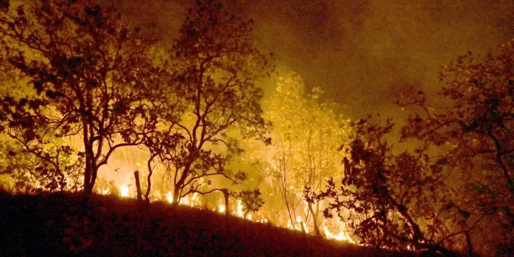Bombeiros combatem mais de 330 incêndios no estado do Rio