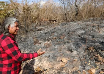 Indígenas sofrem com incêndio em área próxima a parque de Brasília