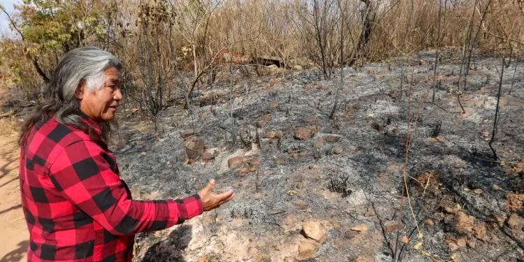 Indígenas sofrem com incêndio em área próxima a parque de Brasília