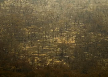 Incêndios e seca na Amazônia e no Pantanal batem marcas históricas