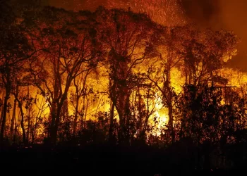Defensoria Pública pede combate a incêndios em terras indígenas do MT