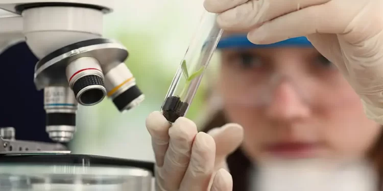 Prêmio de Ciência voltado para mulheres e meninas abre inscrições