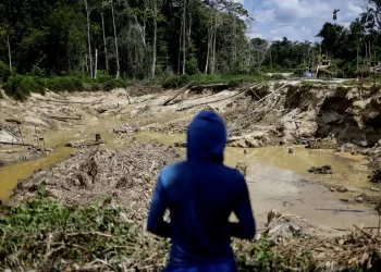 Geral Operação da PF combate garimpo ilegal na Terra Indígena Yanomami