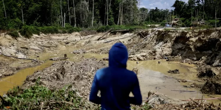 Geral Operação da PF combate garimpo ilegal na Terra Indígena Yanomami