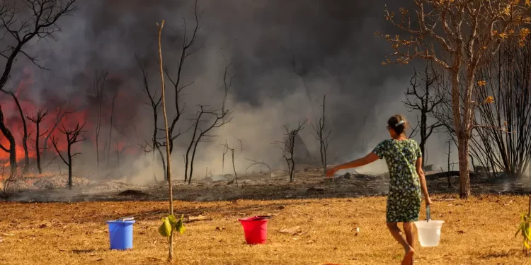 PF abre inquérito para investigar incêndio em Brasília