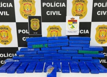 Mulheres são presas com 43 tabletes de maconha em ônibus de viagem no DF