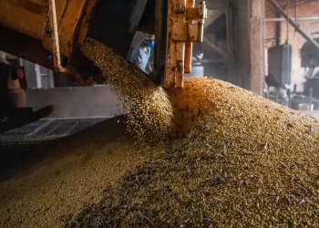 Após seis anos em alta, valor da produção agrícola cai 2,3% em 2023