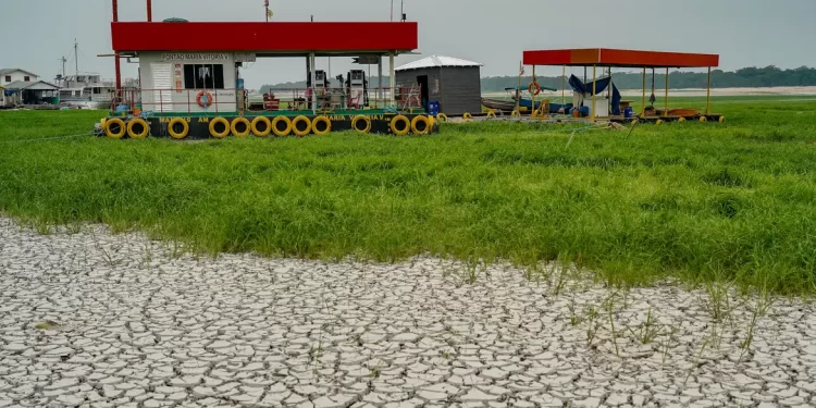 Seca de rios favorece caça e pesca ilegais na Amazônia