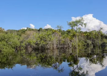 Rio Negro pode passar por pior seca da história ainda esta semana