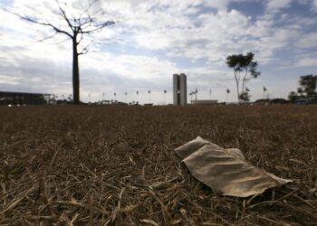 Oito estados e DF têm alerta de grande perigo para baixa umidade