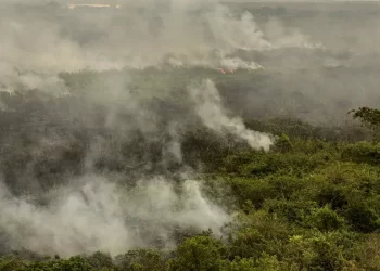 Militares do Exército começam a combater incêndios no Tocantins