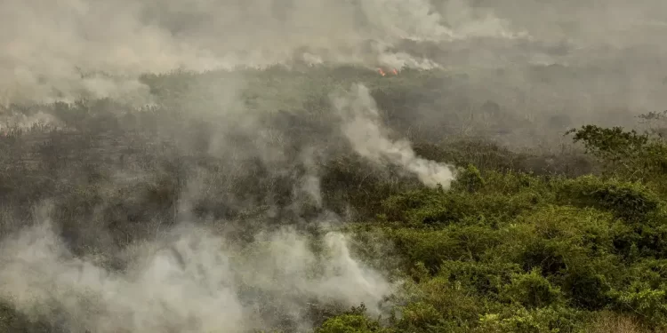 Militares do Exército começam a combater incêndios no Tocantins