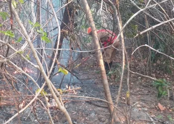 Incêndio na Chapada dos Veadeiros ainda não foi controlado