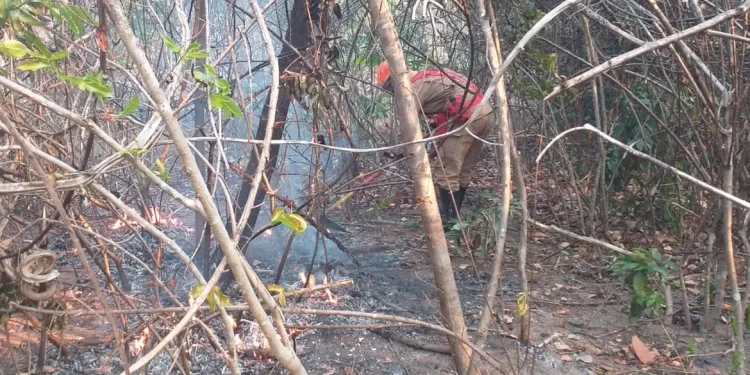 Incêndio na Chapada dos Veadeiros ainda não foi controlado