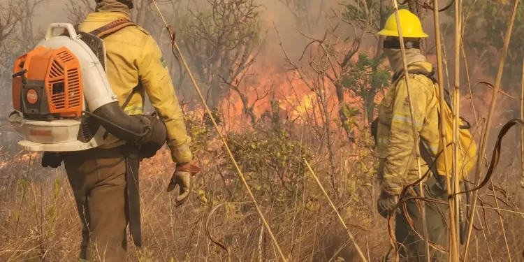 Ações do país evitaram cenário pior de secas e queimadas, diz Marina