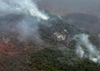 Incêndio florestal no Parque Nacional de Brasília está controlado