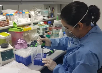 Brasil elimina elefantíase como problema de saúde pública