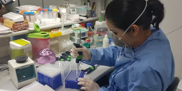 Brasil elimina elefantíase como problema de saúde pública