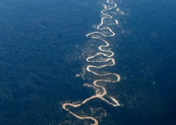 Operações zeram abertura de garimpos na TI Yanomami, diz Casa Civil