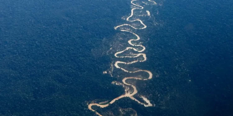 Operações zeram abertura de garimpos na TI Yanomami, diz Casa Civil