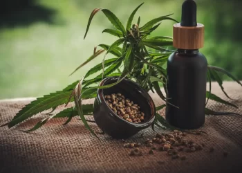 Segunda edição da ExpoCannabis começa hoje em São Paulo