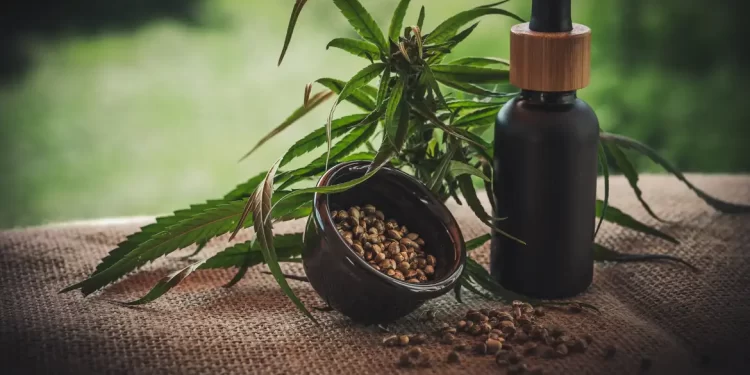 Segunda edição da ExpoCannabis começa hoje em São Paulo