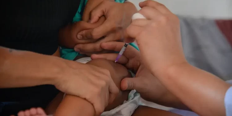 Número de casos notificados de coqueluche cresce em 2024