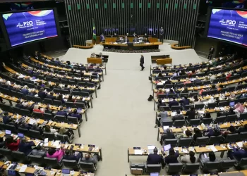 Cúpula do P20 debate sustentabilidade e enfrentamento de desigualdades