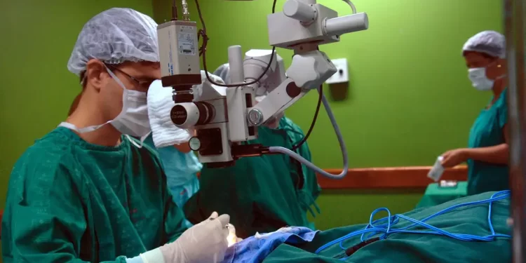 SUS registra em 2024 maior número de cirurgias eletivas da história