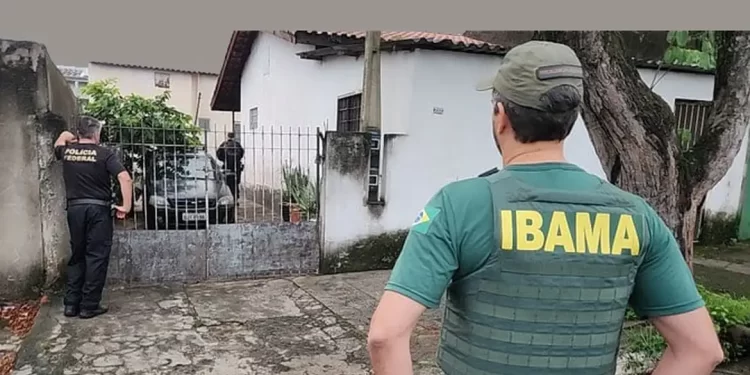 Operação da PF e Ibama apreende 33 animais em posse de traficantes