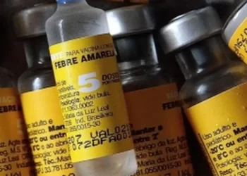 Saúde confirma casos de febre amarela em macacos em município paulista