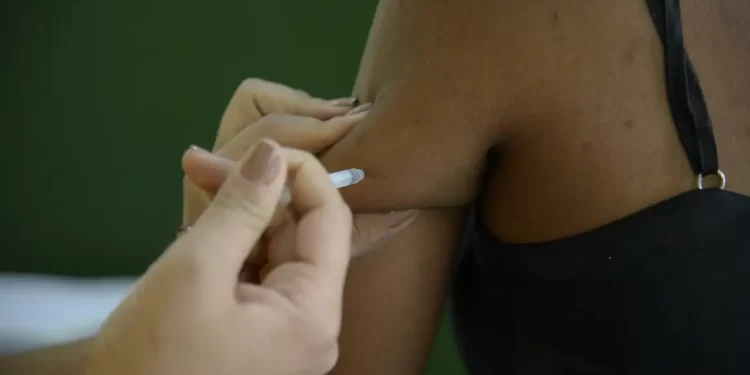 Ministério alerta para alta de casos de febre amarela em 4 estados