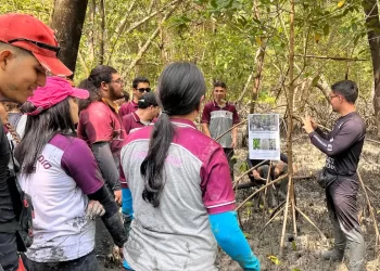 Educação ambiental aproxima estudantes do maior manguezal do planeta