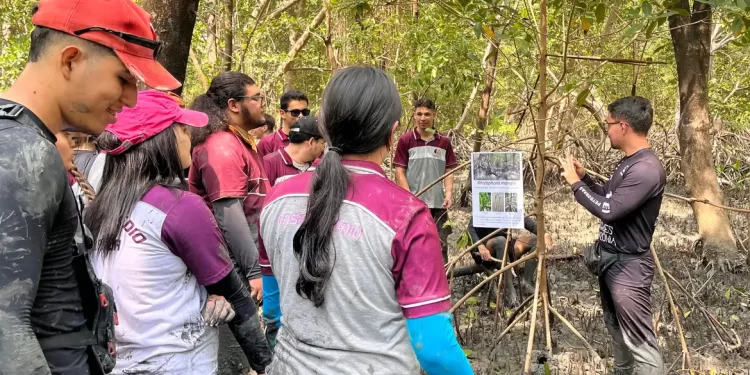 Educação ambiental aproxima estudantes do maior manguezal do planeta