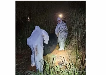 Esquartejado e queimado: PCDF elucida crime brutal no Itapoã e procura foragido