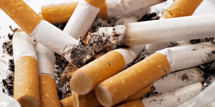 Cigarro: R$ 1 de lucro da indústria equivale a R$ 5 gastos com doenças