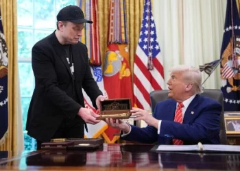 Musk pede impeachment e diz que Trump está envolvido em escândalo sexual