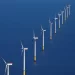 Ibama concede 1ª licença prévia a projeto eólico offshore no país