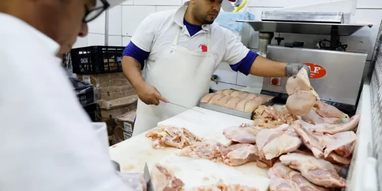 Gripe aviária: 17 países suspendem restrição à carne brasileira