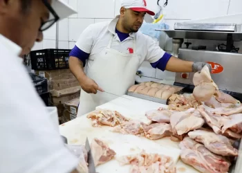 Brasil se declara país livre da gripe aviária