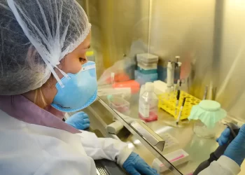 USP: pesquisa de vacina contra zika avança em testes com camundongos